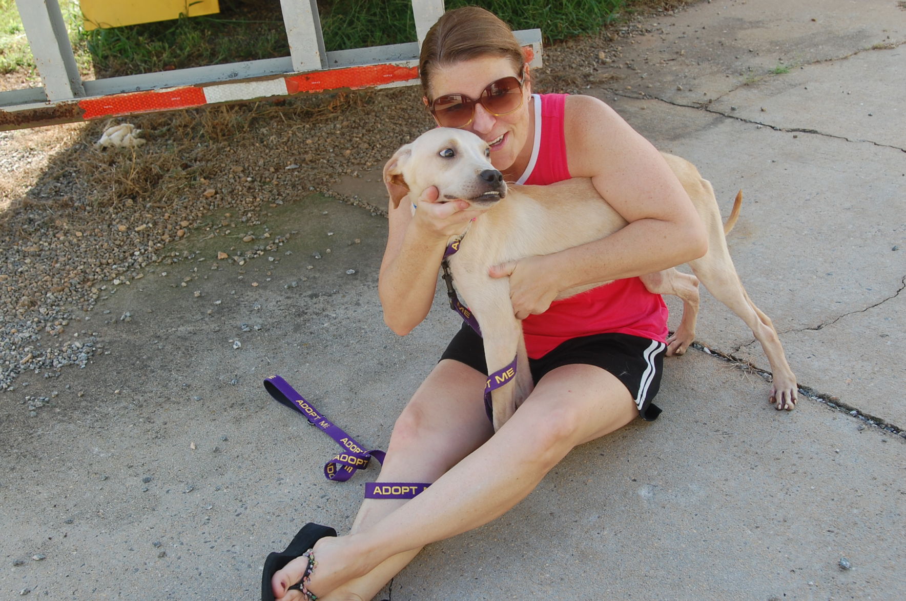 Piedmont animal rescue (13).JPG